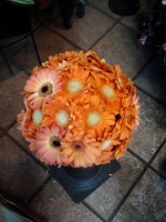 /album/galleria-foto-bouquet/a2011-11-10-12-13-36-jpg/